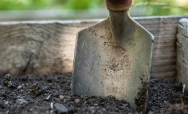 Gesucht: Freiwillige mit grünem Daumen für unsere Garten AG