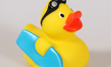Kraulschwimmkurs ein voller Erfolg